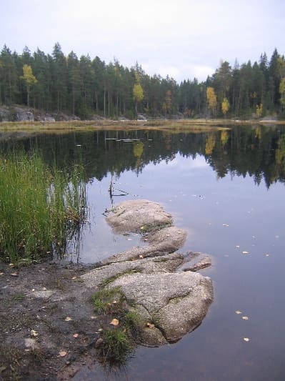 Nuuksio Milli Parkı, Espoo